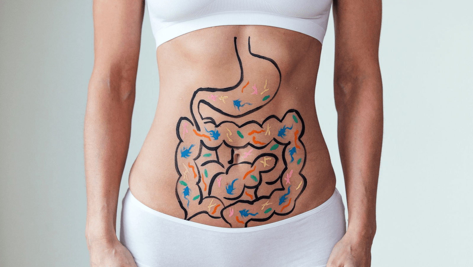 image of a woman's body showing anatomy of digestive system