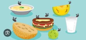 Food Contamination 